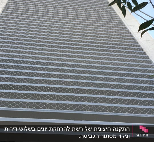 רשת מתוחה על קיר למניעת כניסת יונים